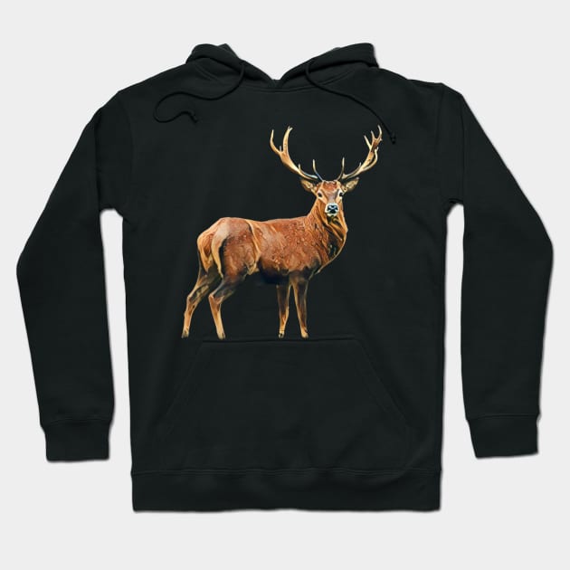 Deer - Woodland Themed Kids Room, Funny Gifts For Forester, Cute Animals Hoodie by Shirtsmania